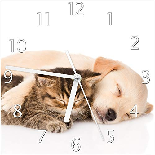 Wallario Design-Wanduhr Katze und Hund in Harmonie - Kuschelnde Tiere aus Glas, Motiv-Uhr Größe 20 x 20 cm, weiße Zeiger