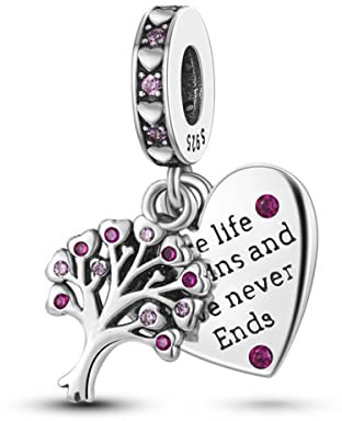 Parmuz 925 Sterling Silver Charm for Bracelet Necklace Dangle Love Mom Ocean travel Butterfly Party Birthday Charm Beads Pendants DIY Jewelry Gift for Women