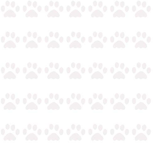 kleb-Drauf | 35 Pfoten | Weiß - matt | Wandtattoo Wandaufkleber Wandsticker Aufkleber Sticker | Wohnzimmer Schlafzimmer Kinderzimmer Küche Bad | Deko Wände Glas Fenster Tür Fliese