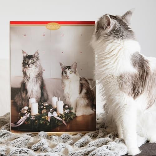 Krönner veganer Adventskalender mit Katzenmotiv – Weihnachtskalender mit winterlicher Reissirup-Süßware aus Edelkakao – laktosefreier veganer Adventskalender Schokolade mit veganen Pralinen