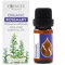 Essences Bulgaria Olio Essenziale di Rosmarino Biologico 10ml | Rosmarinus officinalis | 100% Puro e Naturale | Non Diluito | Grado Terapeutico | Fattoria a Conduzione Familiare | Distillato a Vapore