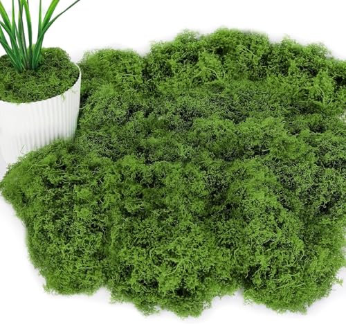 PacuM Mousse Naturelle 100g Mousse Artificielle Decoration Mousse DIslande pour Bricolage Faux Gazon Extérieur Doux et Réaliste Réutilisable,pour Compositions Florales, Travaux Manuels,Vert foncé
