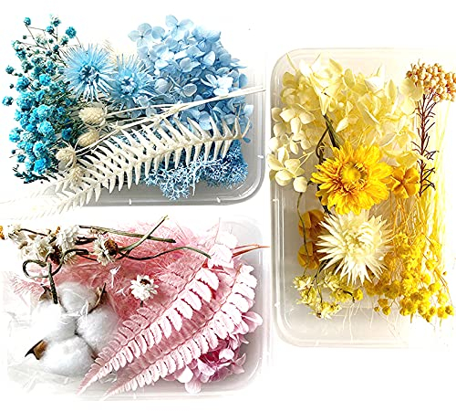 Diy Getrocknete Blumen Set Natürliche Blumen Blätter Gemischte Getrocknete Blumen Harz Gepresste Getrocknete Blumen Blätter Trockenblumen Für Basteln Diy Dekoration Harz Scrapbook Karten 3 Kisten