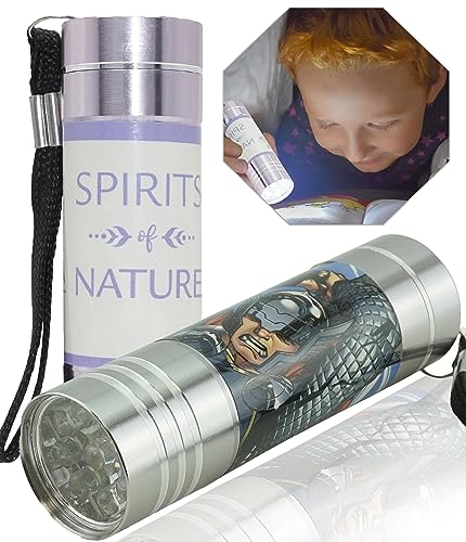 Lot de 2 Torches de Poche en Aluminium 9 LED Personnages TV Avengers Argent et La Reine des Neiges Violet Clair Lampe de Poche Idéal pour Camping Garage Meilleur pour Enfants Unisexe 3+ ans
