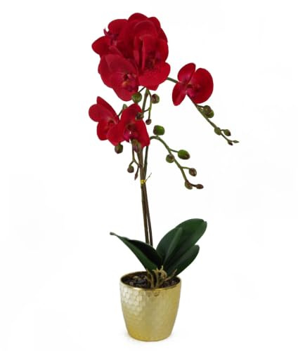 Leaf Design UK Realistic Artificial Orchid Flower Display in Pot