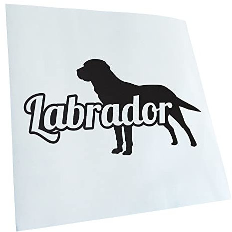 Kiwistar - Autoaufkleber - Mattschwarz - 30x16cm Labrador mit Name Retriever - Heckscheibe Auto Aufkleber wetterfest für Kfz LKW Mofa Truck - Sticker außen selbstklebend Tuning Zubehör für Fenster