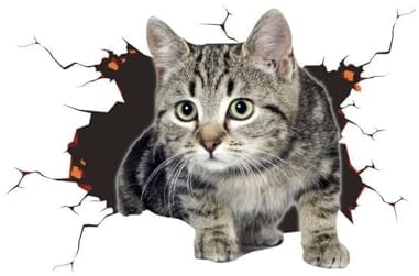 3D Cat Sticker, aufkleber für auto, autoaufkleber katze, Cute Cat Decorations Sticker