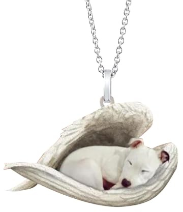 XIAOXIAOYU Collar de alas de perro de ángel dormido,Collar de joyería con encanto para mujer colgante con cadena linda | Accesorio de moda, collar de esquina para Año Nuevo, encuentros,