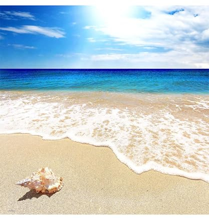 PieceRelax PieceClicks Plastic Jigsaw Puzzles for Adults 750 Pieces Coastal Beach Puzzle - Seashell on the Beach - 18.8 X 18.8 Inches, Ocean Seascape Artwork [U1136]