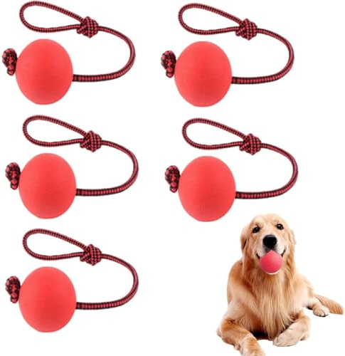 YQYCE 5 PCS Ball mit Schnur Hund, Wurfball für Hunde, Hundespielzeug mit Bällen am Seil, Hundebälle am Seil mit strapazierfähigen, elastischen Bällen, interaktives Hundespielzeug zum Apportieren