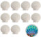 Zimoer 10 Stück Große Weiße Jakobsmuscheln, 10-13 cm Natürliche Muscheln Große Deko Muschelschalen für DIY Handwerk Grillen Strandpartys Hochzeit Heimdekoration Aquariumdekoration