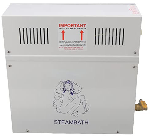 6 KW Dampfgenerator mit Wassermangelschutz, Einstellbarer Temperatur, Timer-Abschaltung, Beleuchtungsfunktion für Sauna, Dampfbad oder Heimgebrauch, Edelstahl-Dampfmaschine