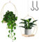 mumisuto 2 Piezas Maceta Colgante Interior con Base de Madera, Macetero Colgante Boho, Macetas Colgantes para Plantas Pequeñas y Medianas, para Interior y Exterior Decoración del Hogar (Oro)