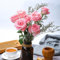 80 pcs rosensamen zum pflanzen - sommerblumen samen rosen pflanzen,Rosa rugosa, balkonblumen blumen geschenk bienen wiese balkonpflanzen winterhart frühlingsblumen winterharte pflanzen