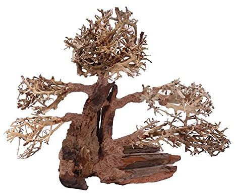 XL Bonsai Baum Nr.12023 Wurzel Holz Aquarium Deko Aquascaping Bonsaibaum Dekoration Landschaft Moos Natur