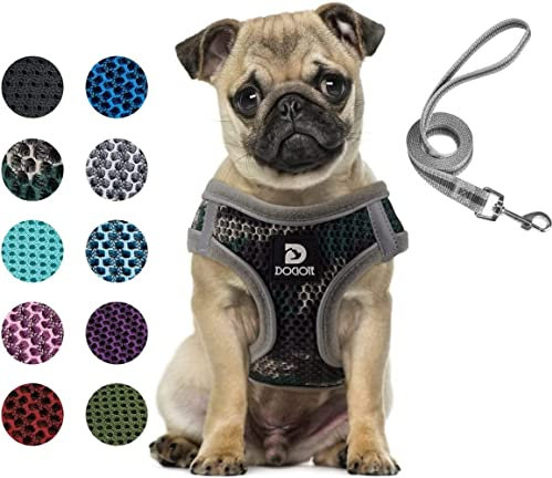 Hundegeschirr Set mit Leine für kleine Hunde - Brustgeschirr ausbruchsicheres Katzengeschirr Welpengeschirr Step-In Geschirr für kleine Hunde, Welpen, Katzen M Tarngrün