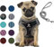 Hundegeschirr Set mit Leine für kleine Hunde - Brustgeschirr ausbruchsicheres Katzengeschirr Welpengeschirr Step-In Geschirr für kleine Hunde, Welpen, Katzen M Tarngrün