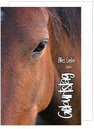 Edition Seidel Premium Geburtstagskarte mit Umschlag. Glückwunschkarte Grusskarte Billet Geburtstag Happy Birthday Mann Frau Kind Junge Mädchen einzelne eine Sprüche Karte Pferd Pony (G3307 SW022)