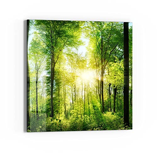 DEQORI Glasbild Echtglas | Motiv Sonne durchbricht Wald | quadratisch einteilig 50x50 cm | schöne Dekoration | Wandbild für Wohnzimmer, Schlafzimmer, Flur & Küche | moderne Wanddeko