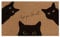 Jakayla Funny Black Cat Door Mat Cute Welcome Mat Hope You Like Cats Doormat Funny Welcome Mats for Front Door Outside Entrance Cat Decor