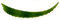 POWERS TO FLOWERS - FOGLIE DI ALOE ARBORESCENS 2 PEZZI, foglie vere