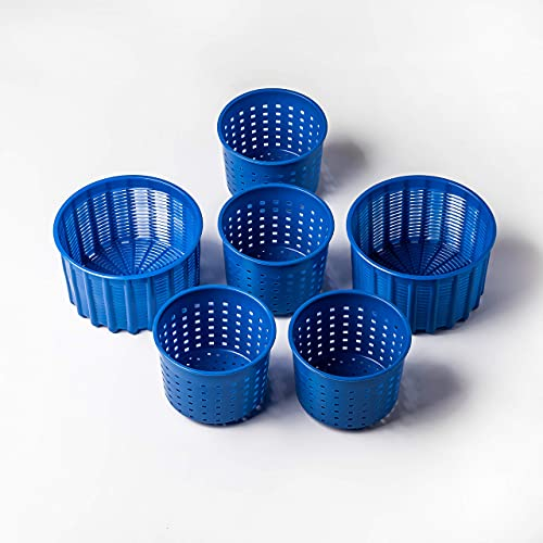 Cheese making Set Cheese molds Cheese making mold Goat cheese Feta Soft cheese Cheese press Rennet Cheese making kit Cow Basket mold Hard cheese Molde para queso | 0.55-1.32 lbs Blue