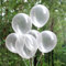 Vsosfiza 100 Stück Mini klare Luftballons 12 cm (5 Zoll) - Transparente Luftballons für Kinder, Geburtstag, Hochzeit & Partydeko - Heliumtauglich & Geschenkidee