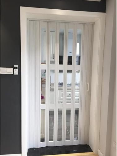 GLFNB Puerta Plegable para biombo, Puerta corredera magnética con Cristal acrílico Transparente, Entrada para Sala de Estar (106 x 203 cm)