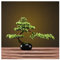 Künstlicher Bonsai-Baum, chinesischer Kiefern-Bonsai mit schwarzem Keramik-Blumentopf, künstliche Grünpflanze, Kunstbaum, Innendekoration, Ornamente, 36,8 cm hoch, Zypresse, Kunstpflanzen für Dekorat