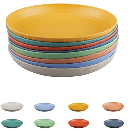 burkfeeg assiettes de camping réutilisables,22,5cm assiettes de pique-nique | plastique assiettes incassables, assiettes de barbecue colorées pour pique-nique, jardin et extérieur