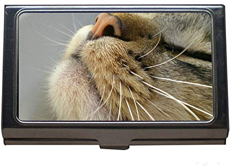 Visitenkartenetui aus Edelstahl, nahe Visitenkartenetui für Herren und Damen