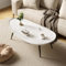 MTSYXYM Ovaler Couchtisch,Moderner Couchtisch für Wohnzimmer,Moderner zentraler Couchtisch,Einfache Aufbau,Metallfüße aus Kohlenstoffstahl,für Wohnzimmer, Büro, Wohnung.(Wit,120 * 60 * 38cm)