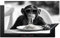 KitchenYeah© Herdabdeckplatte Einteilig 91.6x52.7 cm Küche Ceranfeld Abdeckplatte Cerankochfeld Abdeckung Induktionskochfeld Schutzmatte Affe - Spaghetti - Sonnenbrille - Schwarz Weiß - Tier