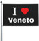 I Love Veneto Bandiera 3x5 Ft Bandiere Con 2 Occhielli Doppio Lato Bandiera Outdoor Yard Bandiere Divertente Fattoria Festa Decorazione Banner