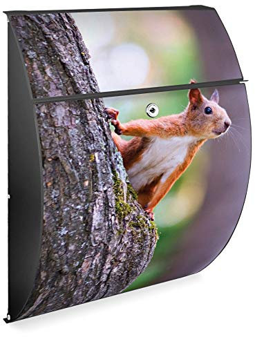 banjado Design Briefkasten - Modell Riviera 46x33,5x13cm groß - verzinkter Stahl anthrazit - Postkasten Öffnungsstopp großer A4 Einwurf Zylinderschloss 2 Schlüssel - Motiv Eichhörnchen