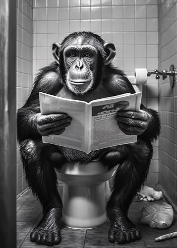 Poster singe sur WC, 50 cm x 70 cm, sans cadre, décoration murale, cadeau amusant