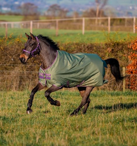 Horseware Amigo Hero 600D Ripstop Lite 0gTurnout Decke wasserdicht bramble/Winterberry & Taupe, Größe:6'0
