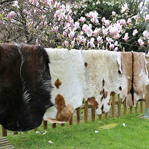 Hollert Echtes Ziegenfell Teppich Naturfell Dekofell Kamindeko Wanddeko Läufer DIY Kleidung Größe 90-100