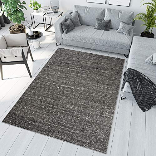 TAPISO Sari Teppich Kurzflor Teppiche Schwarz Grau Modern Design Meliert Verwischt Wohnzimmer Schlafzimmer ÖKOTEX 300 x 400 cm