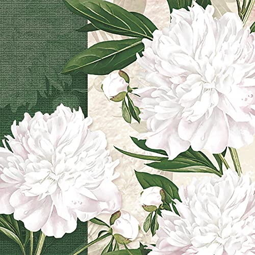 Maki Lot de 20 serviettes en papier 3 plis pour découpage et déjeuner Motif floral Pivoines blanches rosées 33 x 33 cm
