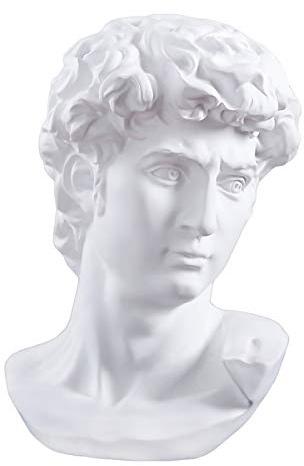 Cozylkx 29 cm Premium Harz griechische Michelangelo David Büste Statue Nachbildung Skulptur Home Art Decor Weiß