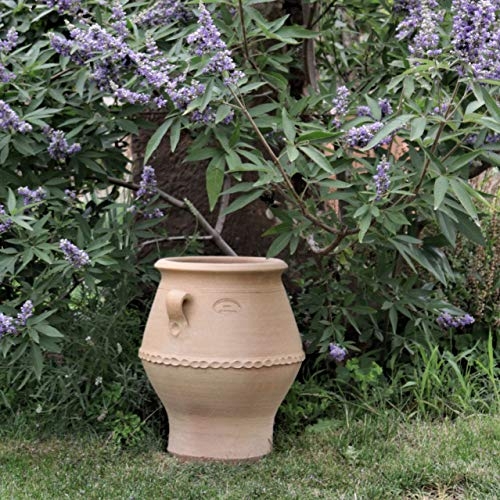 Palatina-Keramik kleine Amphore aus Terracotta 40 cm| von Hand gefertigt, frostfest | hochwertiges Pflanzgefäß für Garten, Terrasse oder Balkon Thymus 40 cm