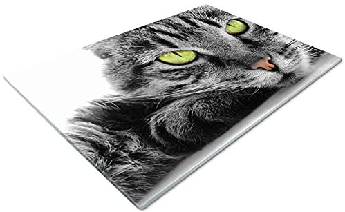 Chopping Boards | Glass Worktop Savers | Worktop Protectors Heat Resistant | Catering Chopping Boards | Chopping Boards Glass | Over The Sink Chopping Board | Large | Grey Cat Green Eyes Black
