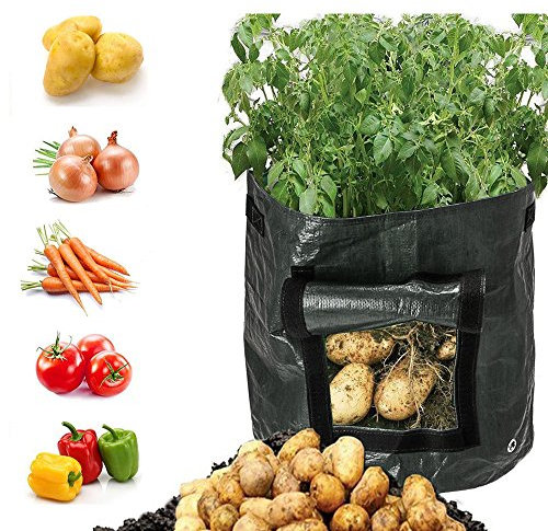 Designerbox Garden de Pommes de Terre de Croissance Sacs, Sacs de légumes Pot de Fleurs avec Rabat à accès et poignées Heavy Duty Convient pour de la Pomme de Terre, Carotte, Tomate 1 Pack-Dia.13in