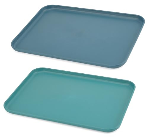 2 bandejas para servir, 31 x 22 cm, bandeja de plástico, rectangular, bandeja para servir, para casa, restaurante, bar, cafetería