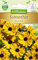 N.L.Chrestensen 5225, Rudbeckia hirta Sonnenhut, Marmalade, Gold