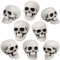Fangoo 8 Stück Halloween Schädel Realistisch aussehende kleine Schädel Köpfe Scary Halloween Menschliche Skelett Schädel Kunststoff Kopf für Halloween Party nach Hause Schreibtisch Tischdekoration