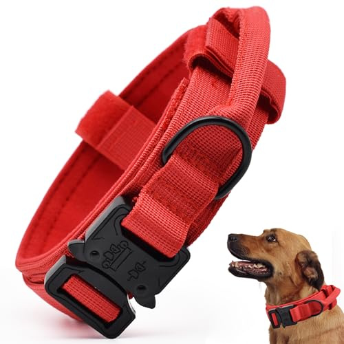 Taktisches Hundehalsband, verstellbares Militärtraining Nylon Hundehalsband mit Kontrollgriff und schwerer Schnellverschluss-Metallschnalle für kleine mittelgroße große Hunde, Rot M