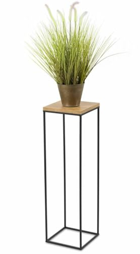 HowHomely Support moderne en métal pour plantes 80 cm