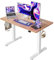 Cubiker 120 x 60 cm Schreibtisch Höhenverstellbar Elektrisch, Stehpult T-Beine aus Stahl mit Funktions-Memory-Steuerung, Anti-kollisions System, Hellbraun Tischplatte